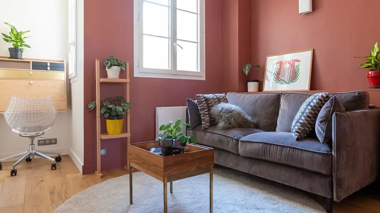 Chambre d'amis confortable avec un canapé convertible (clic clac) en velours gris, des plantes vertes et un bureau mural.