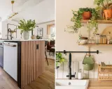 Idées pour comment rénover une cuisine : îlot moderne avec revêtement en bois et étagères végétalisées.