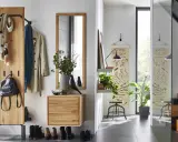 Une entrée dans un salon moderne avec un portant en bois, des manteaux, un sac à dos, des tableaux et une étagère avec des plantes.