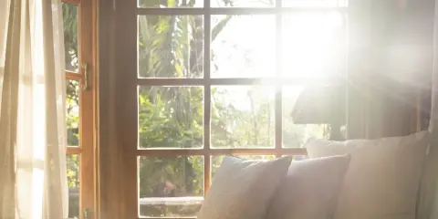 Coussins moelleux sur un rebord de fenêtre ensoleillé, invitant au confort d'été. Lumière douce filtrant à travers les rideaux et le feuillage luxuriant.