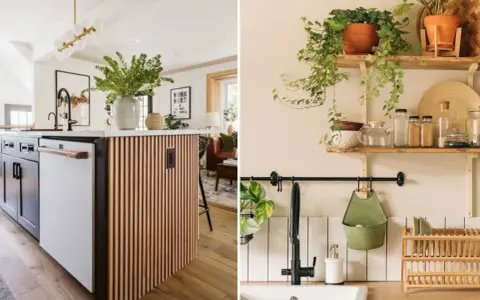 Idées pour comment rénover une cuisine : îlot moderne avec revêtement en bois et étagères végétalisées.