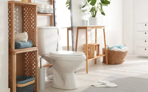 Idées pour comment décorer des toilettes : étagères en bois, paniers tressés, plantes vertes et serviettes douces créent une ambiance chaleureuse.