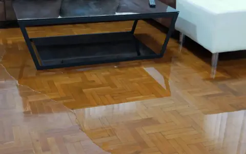 Un salon inondé, le parquet gondolé par l'eau. Une table basse et un pouf flottent dans le désastre.