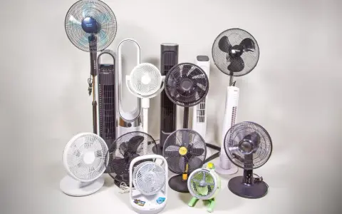 Collection de différents types de ventilateurs : sur pied, colonne, de table et même un petit modèle vert.
