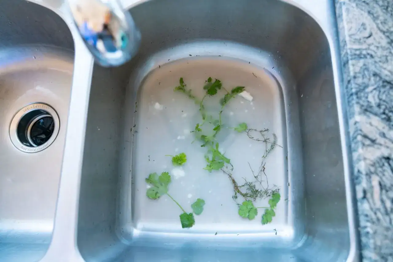 Évier bouché avec des herbes et des débris, suggérant une mauvaise canalisation odeur.