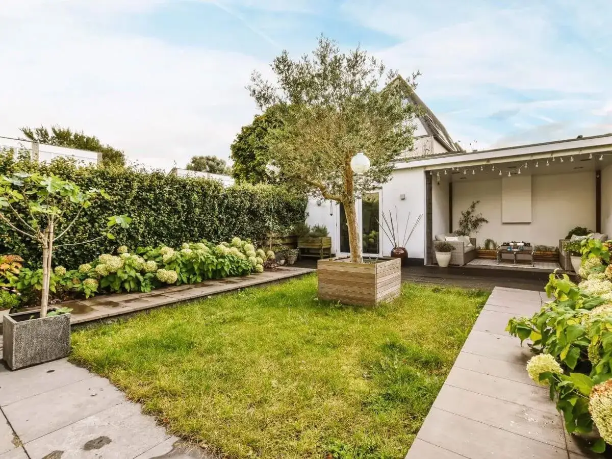 Un jardin verdoyant avec un olivier en pot, des hortensias et une terrasse aménagée, parfait pour l'aménagement d'une maison neuve.